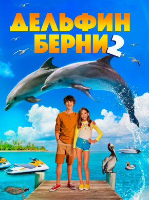 Дельфин Берни 2