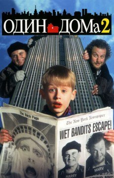 Один дома 2: Затерянный в Нью-Йорке